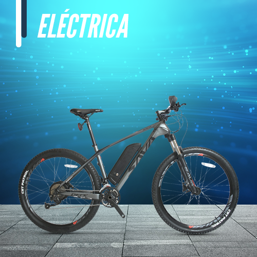 Adultos barato bicicleta eléctrica para niños y niñas de los adultos -  China Niña bicicleta eléctrica, bicicleta eléctrica